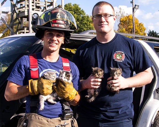 Kittens Saved And Adopted By Firefighters - Love Meow