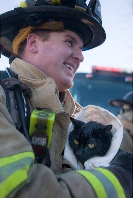 Firefighter Rescues Cat From House Fire - Love Meow