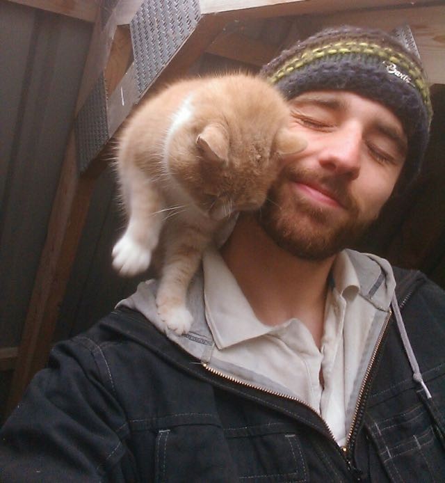 Affectionate Shoulder Cat - Love Meow