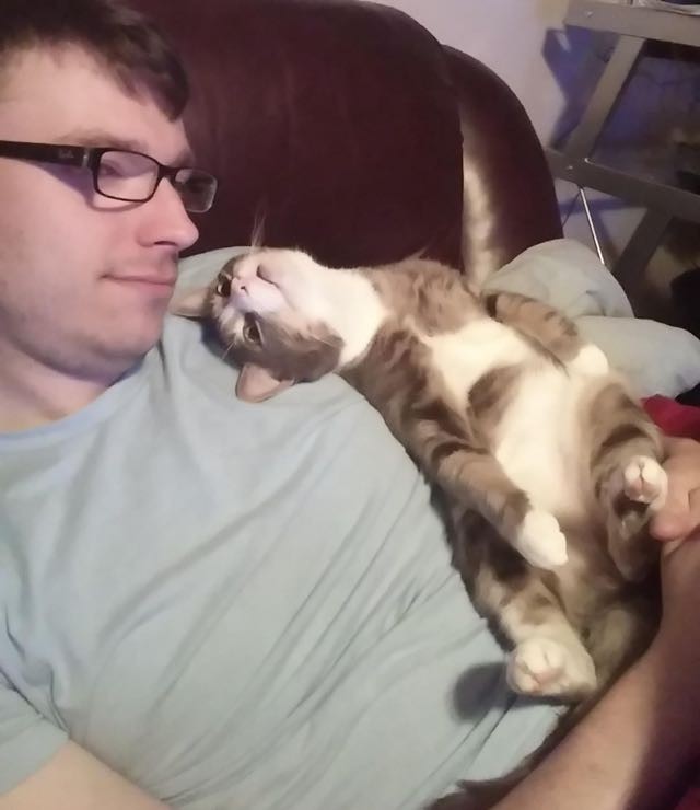 Young Man Has Three Very Clingy Cats - Love Meow