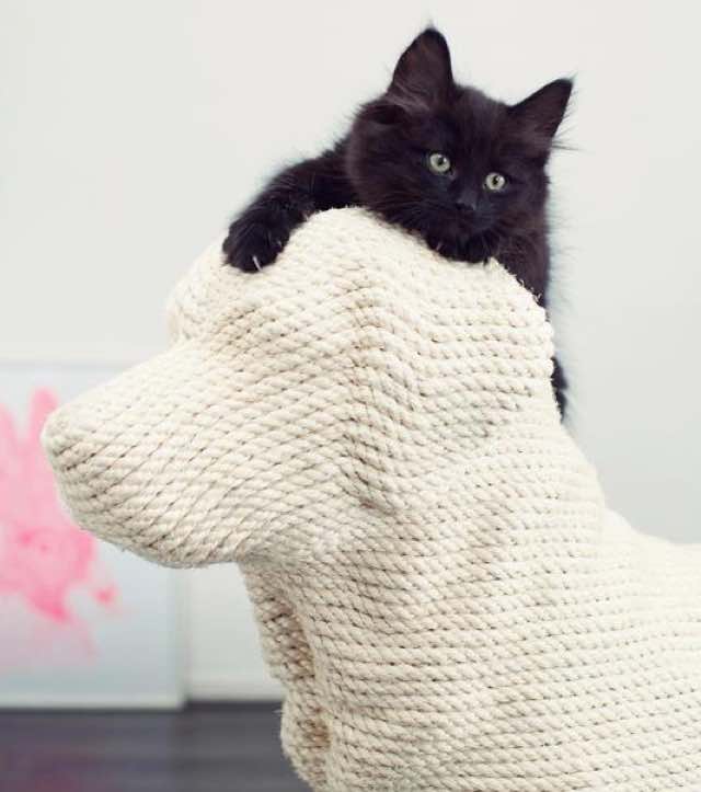 dog shaped cat scratcher