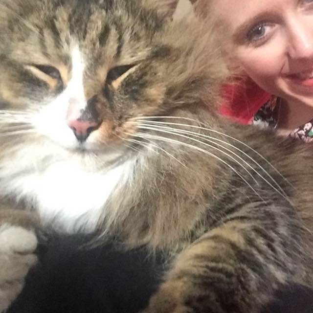 Missing Cat Surprised His Family After He was Found Bigger, Fluffier in
