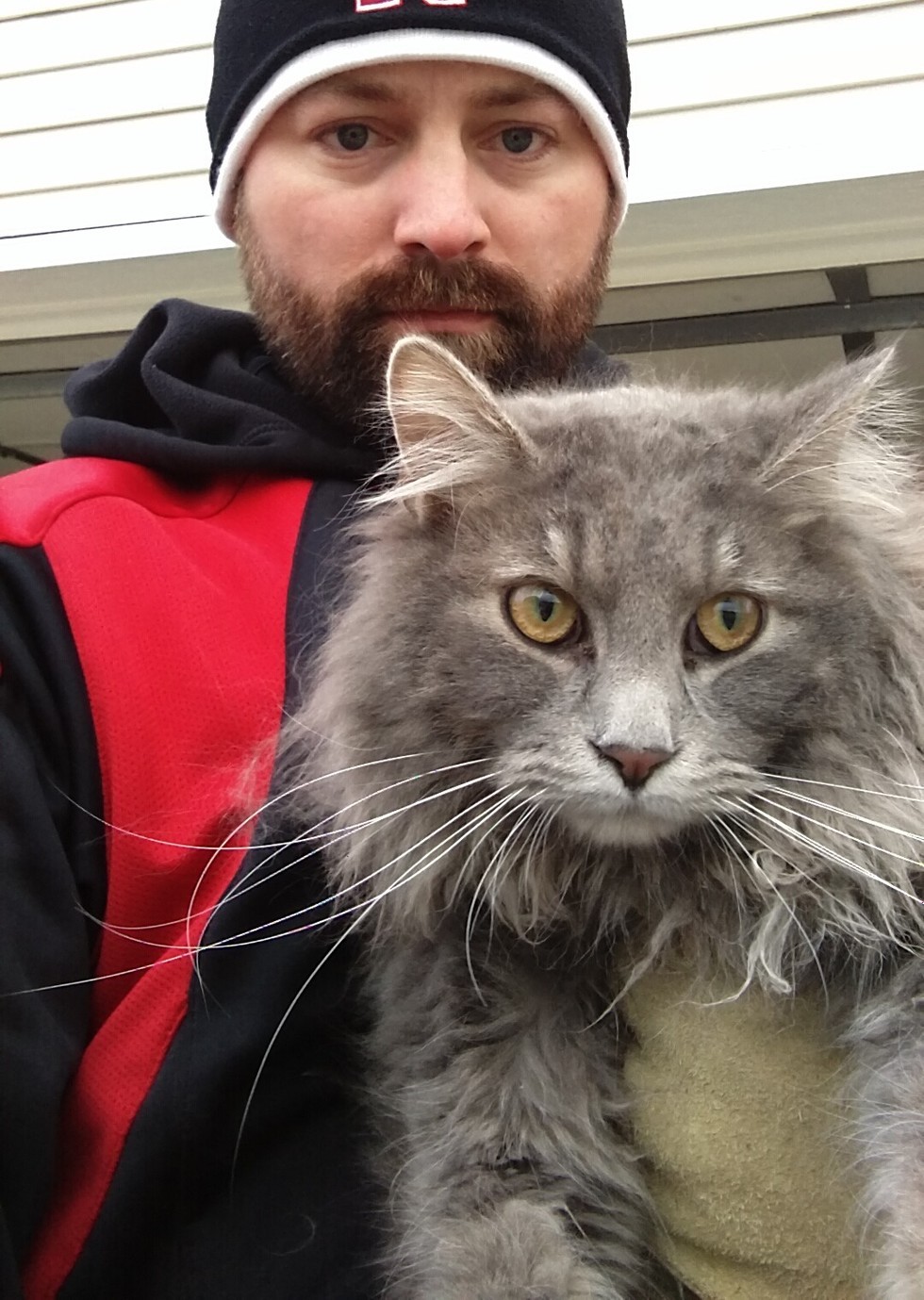 man saves cat from his car reunites him with family
