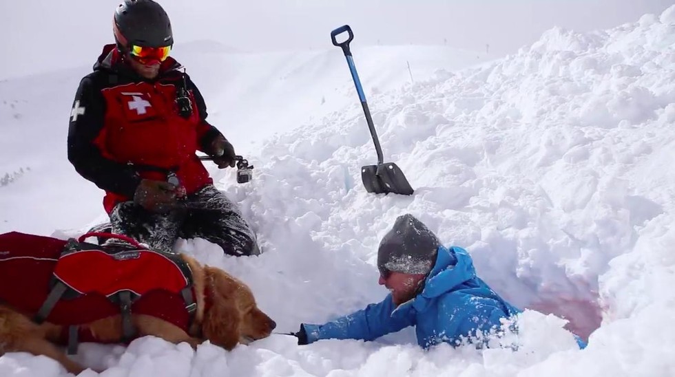 Dog Pokes His Head Through Snow To Save People From Avalanche
