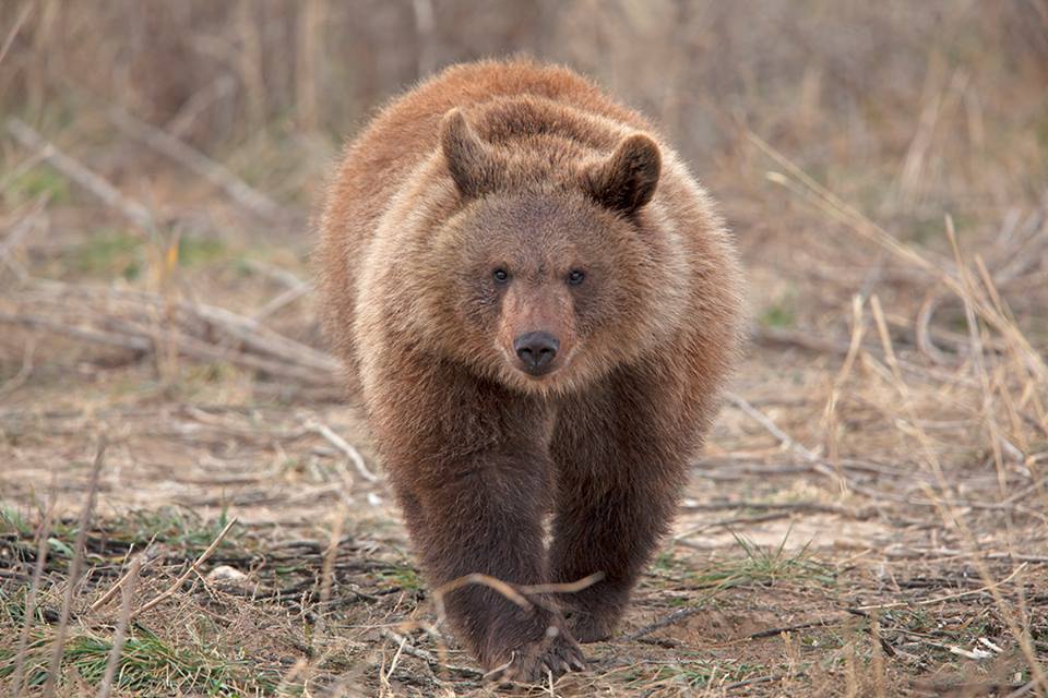 Bright Future Awaits Animals Rescued From Horrible Zoo Inside An Iowa Mall