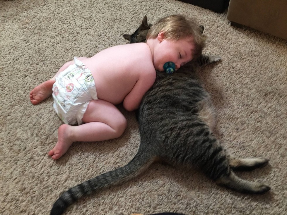 baby boy and tabby cat cuddling 