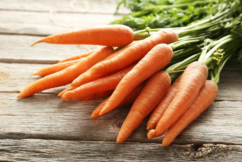 45 Carrot Quotes Kidadl