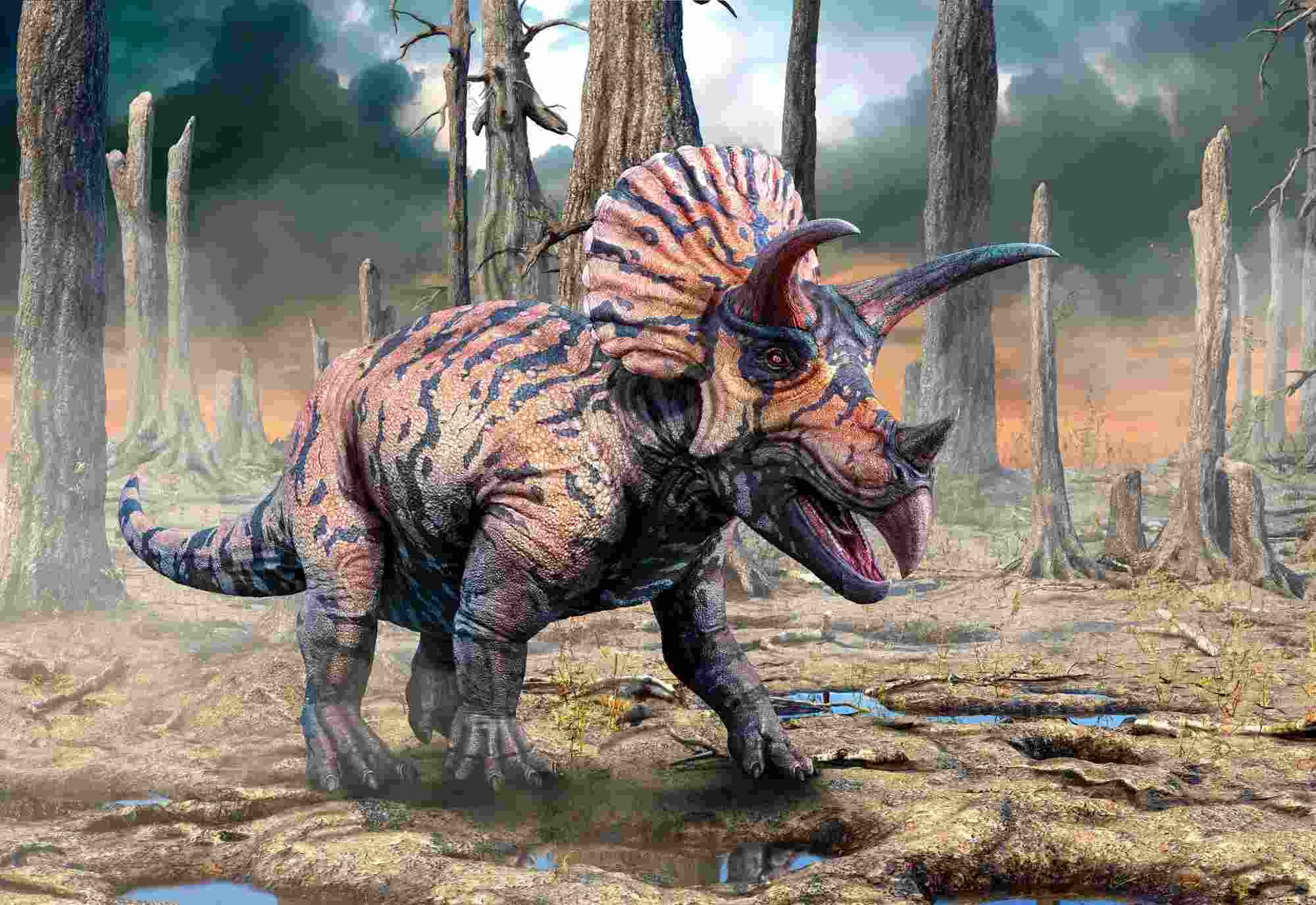 Fun Triceratops Facts For Kids 