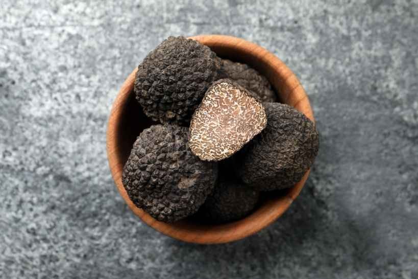 What Are Truffle Mushrooms? And Where Do Truffles Come From? Kidadl