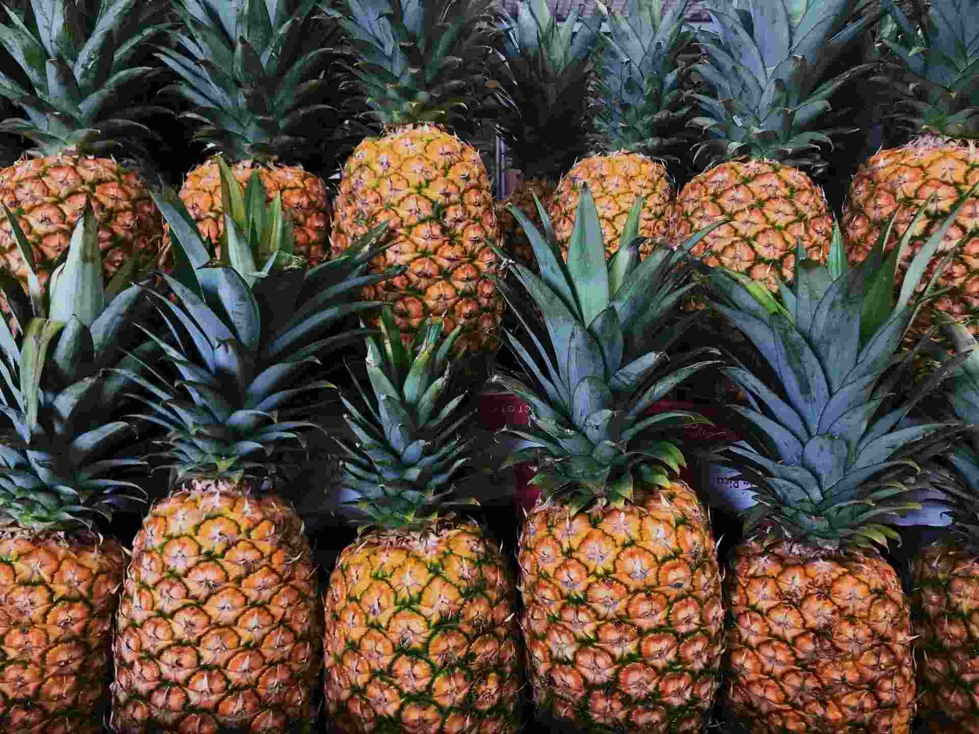 103 Facts About Pineapples Read About The Delicious Tropical Fruit