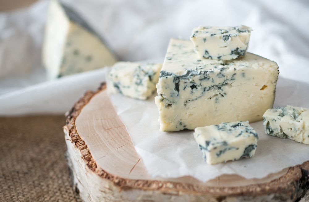 How Is Blue Cheese Made? Everything You Need To Know About It Kidadl