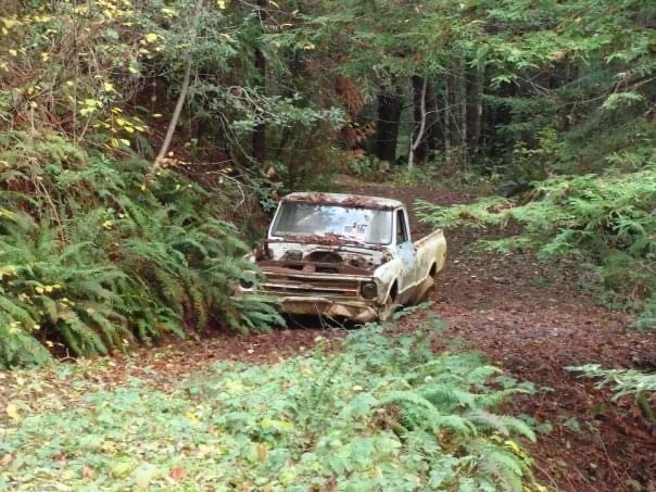 Carspotting: The Monsters Lurking In The Pacific Forests