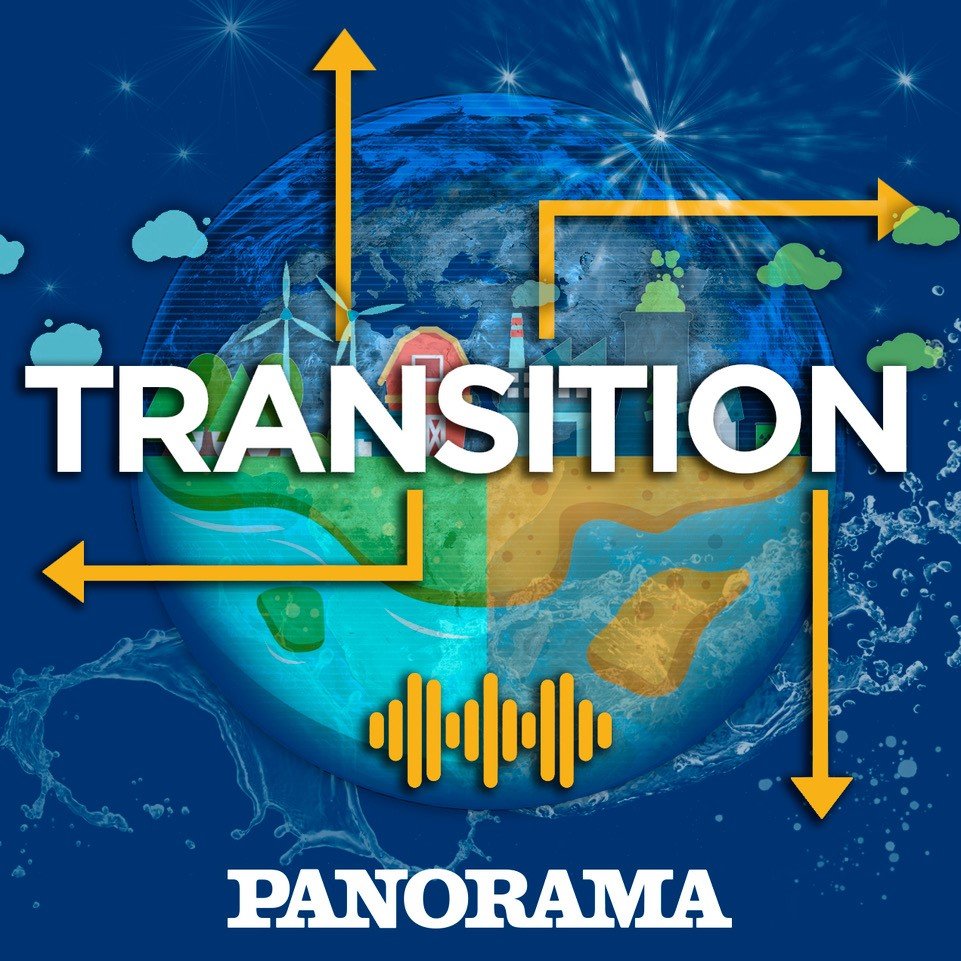 Transition | Così il mezzogiorno può diventare una Digital Valley