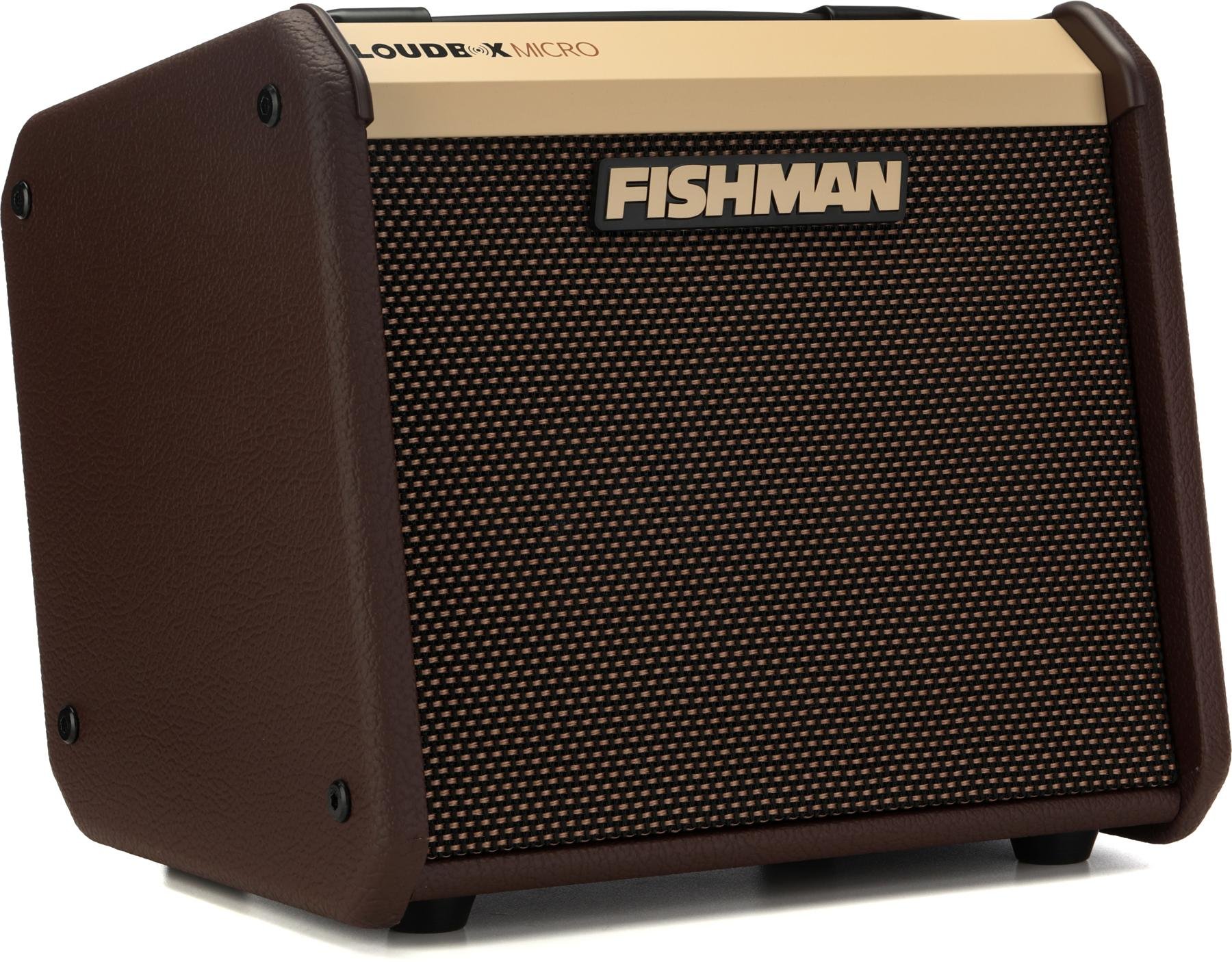Fishman Loudbox Micro Review - Premier Guitar