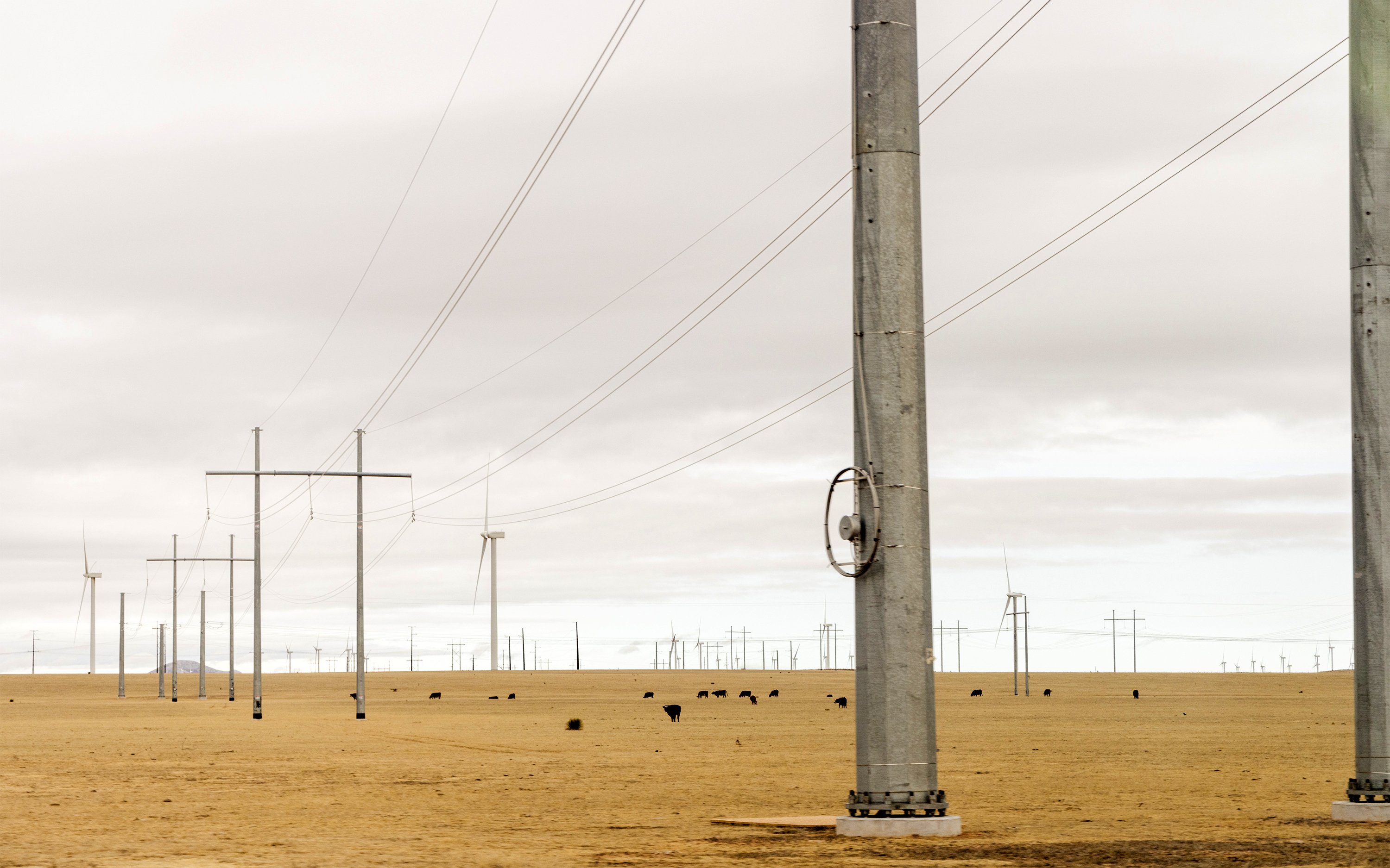 America Is Bad at Building Power Lines. We Can Fix That. - The