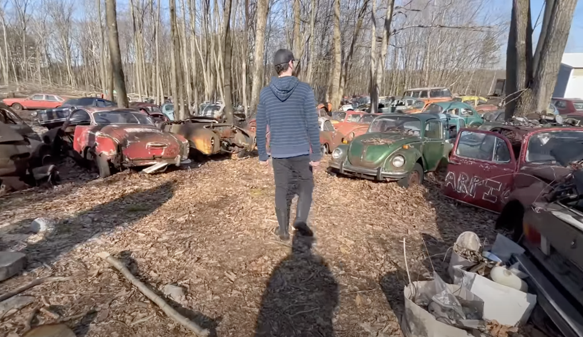 Video: This Massive Volkswagen Junkyard Could be the Largest VW Parts Collection in the United States