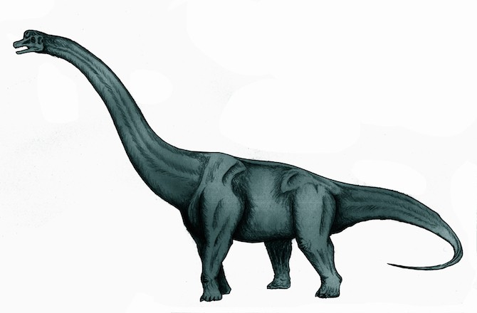 top ten largest dinosaurs