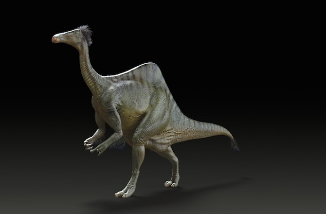 dinosaur with hump on back