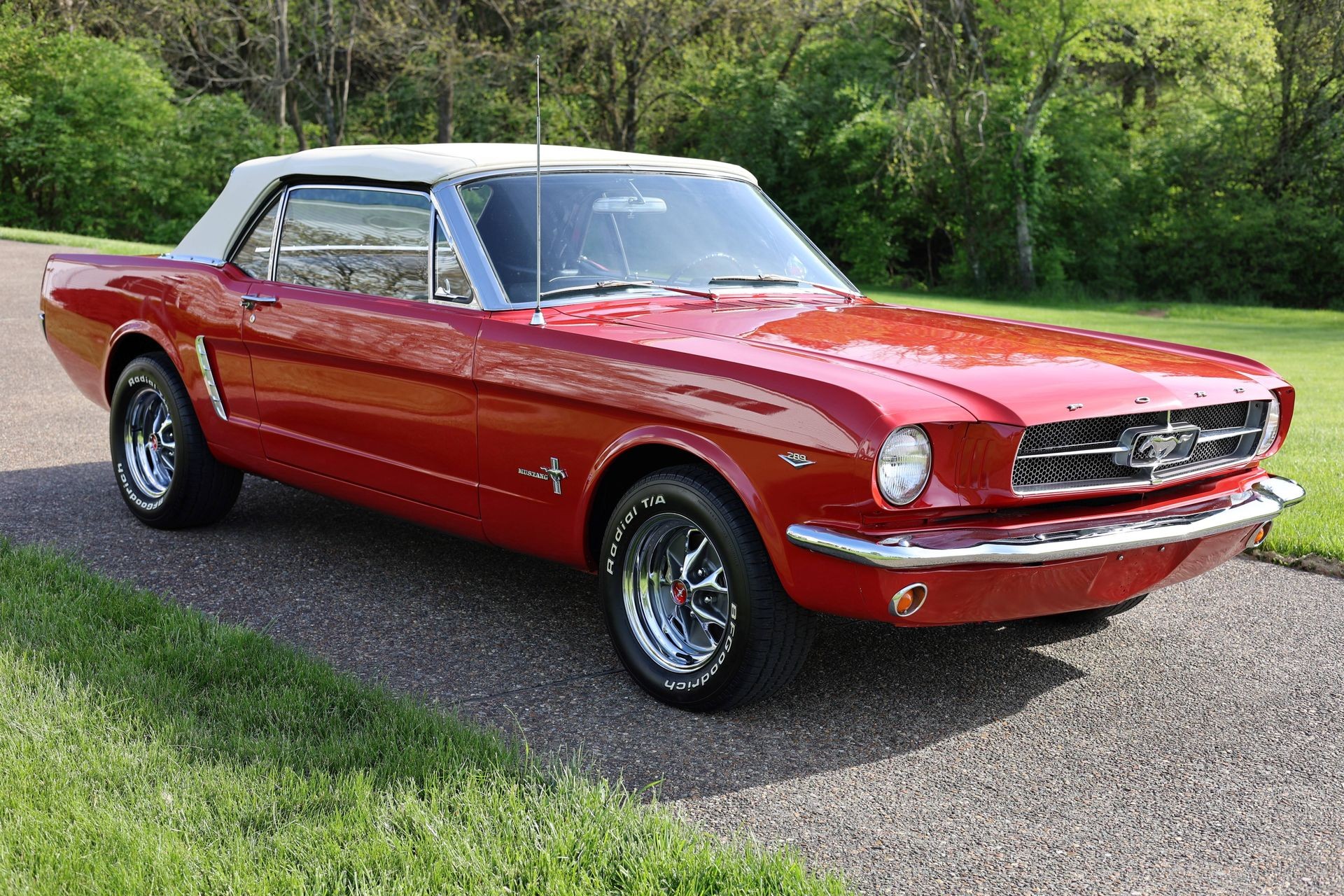 Pony Up: Five V8 Ford Mustangs For Sale That You Don't Want to Miss