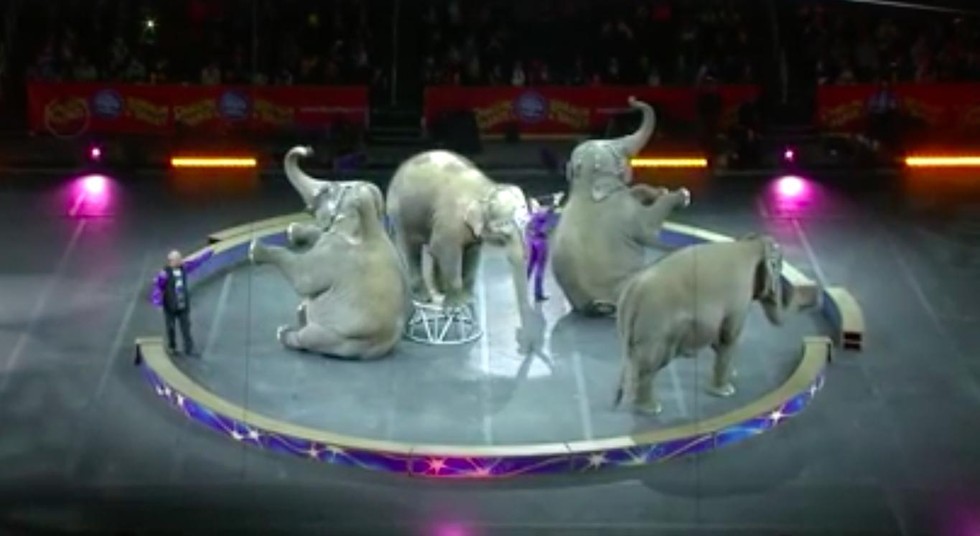 Ringling Elephants Perform Their Last Ever Circus Show