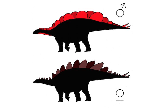 stegosaurus look alike