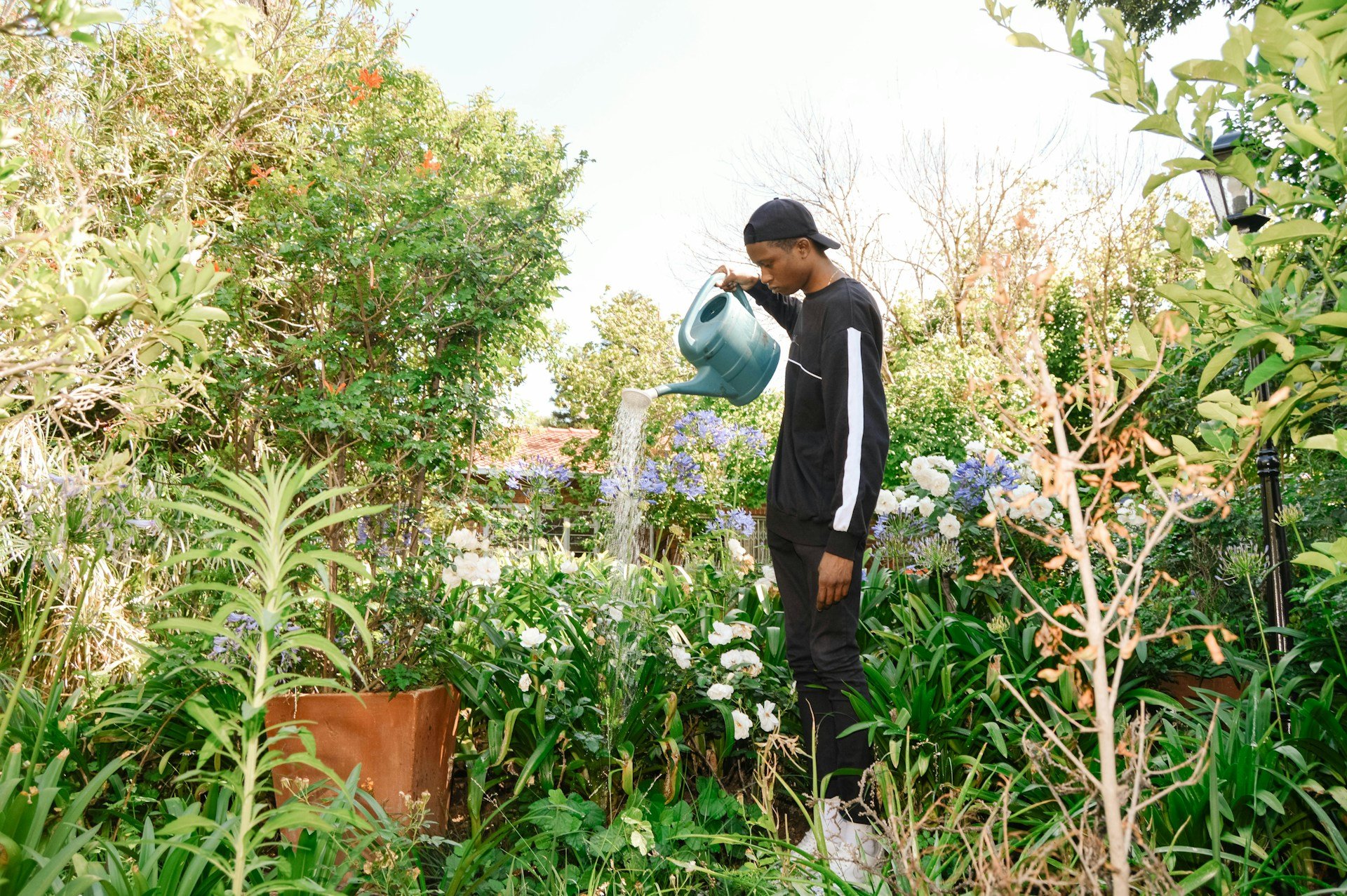ehn direct link out