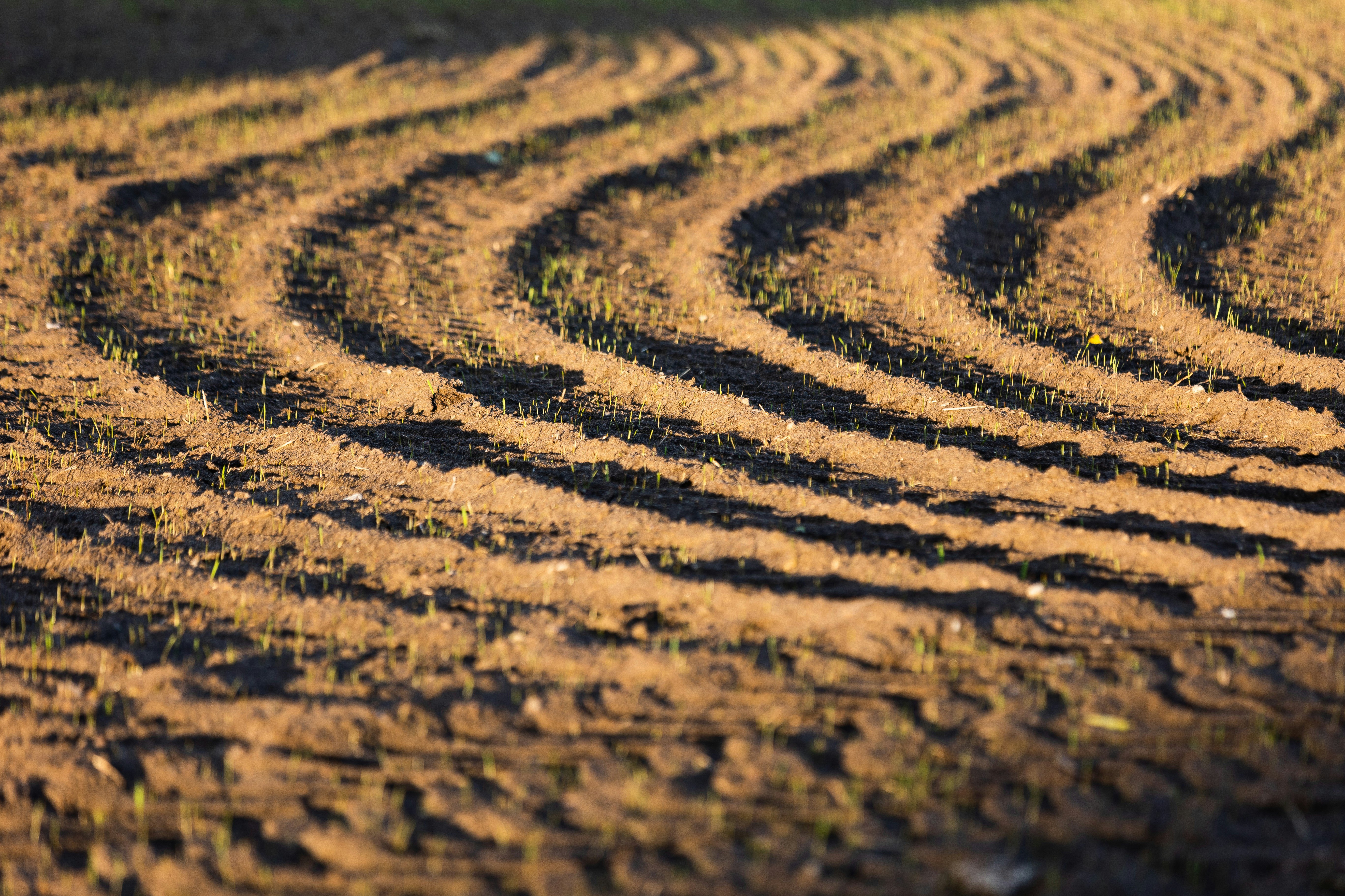 Farmers and ranchers in Texas reject the use of sewage sludge due to chemical concerns