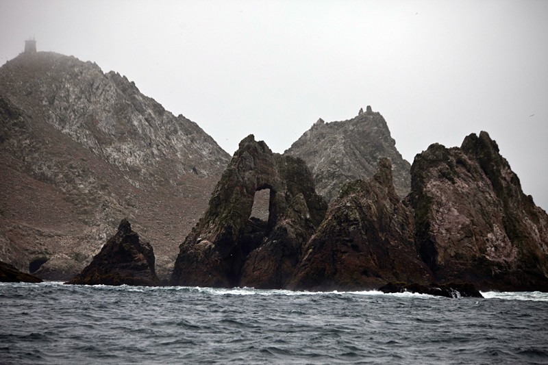 Whale Watching in the Farallon Islands 7x7 Bay Area
