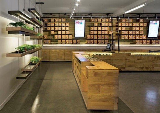 Résultat de recherche d'images pour "marijuana dispensary san francisco 2012 design"