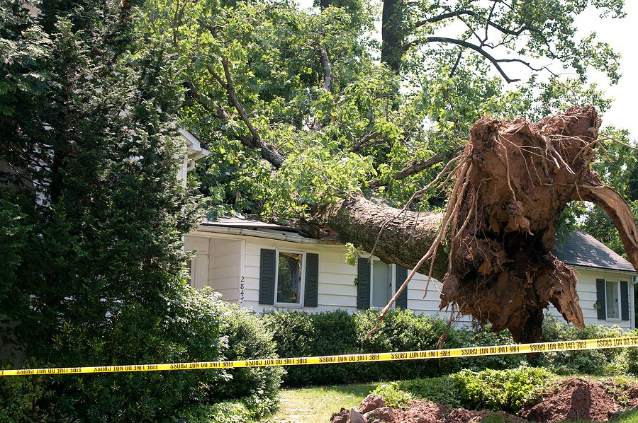 North Carolina candidates juggle disaster relief and elections after Hurricane Helene