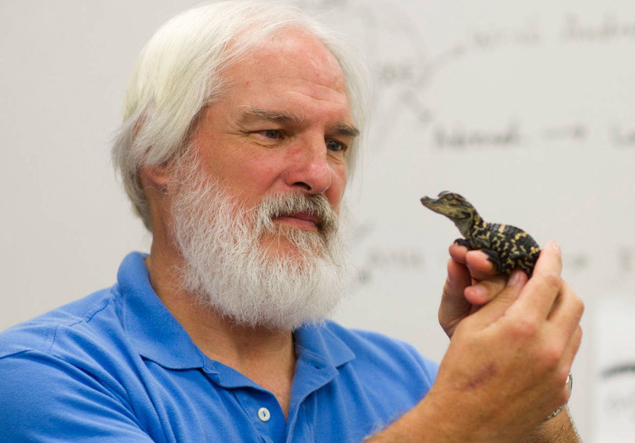 photo of Lou Guillette Jr. Memorial Symposium image