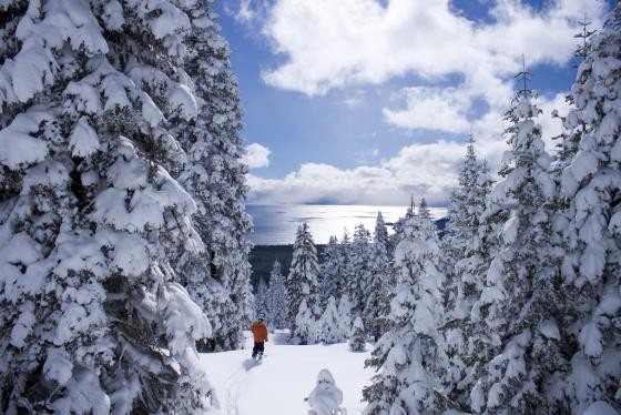 50 Things To Do In Lake Tahoe In Winter 7x7 Bay Area