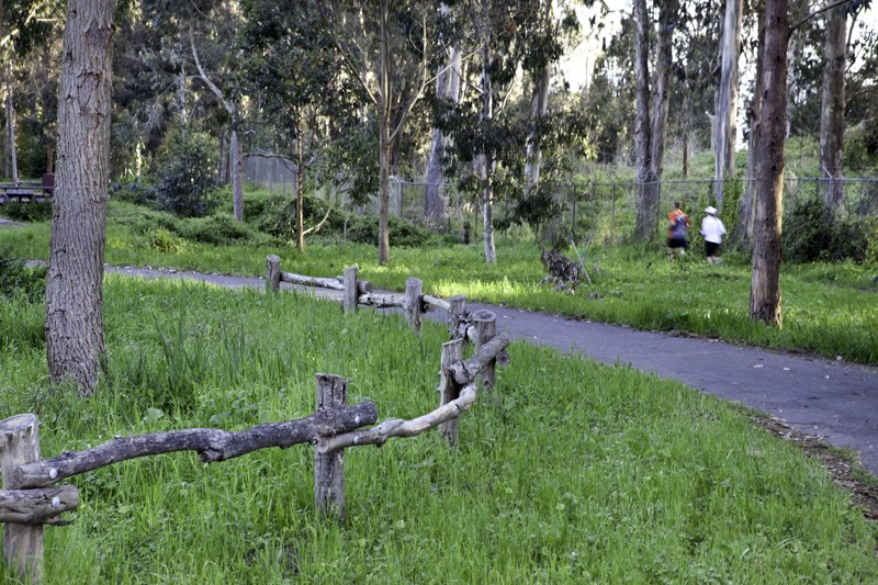 Scenes of the City: Rob Hill Campground in the Presidio - 7x7 Bay Area