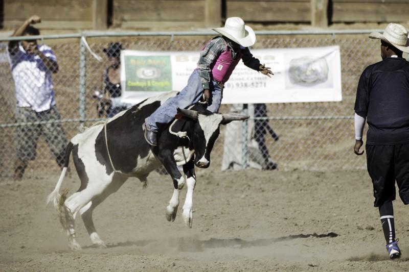 Scenes of the City Oakland's Bill Pickett Rodeo 7x7 Bay Area