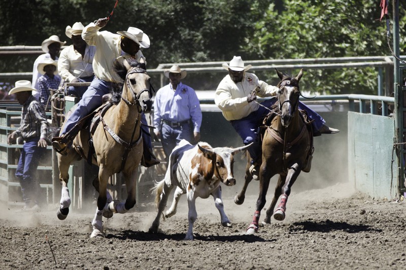 Scenes of the City Oakland's Bill Pickett Rodeo 7x7 Bay Area