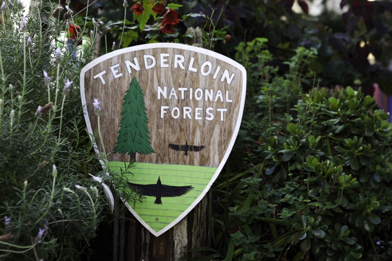 Scenes of the City The Tenderloin National Forest 7x7 Bay Area