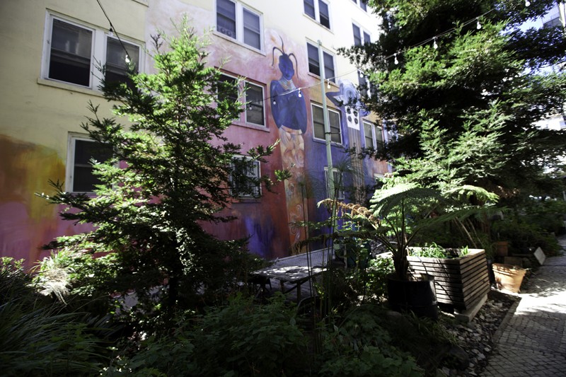 Scenes of the City The Tenderloin National Forest 7x7 Bay Area