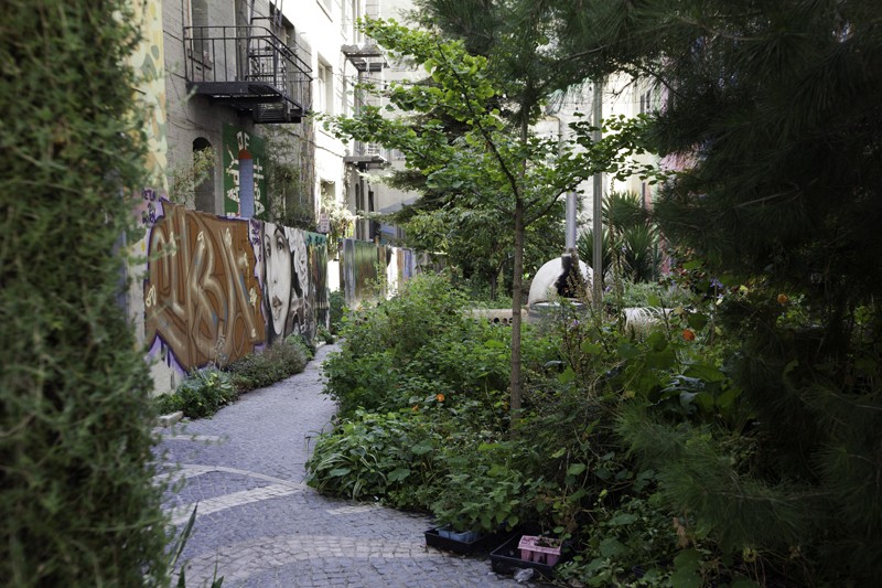 Scenes of the City The Tenderloin National Forest 7x7 Bay Area