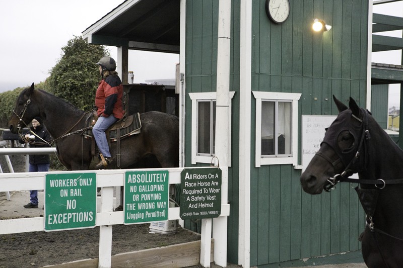 15 Minute Golden gate fields workouts for Push Pull Legs