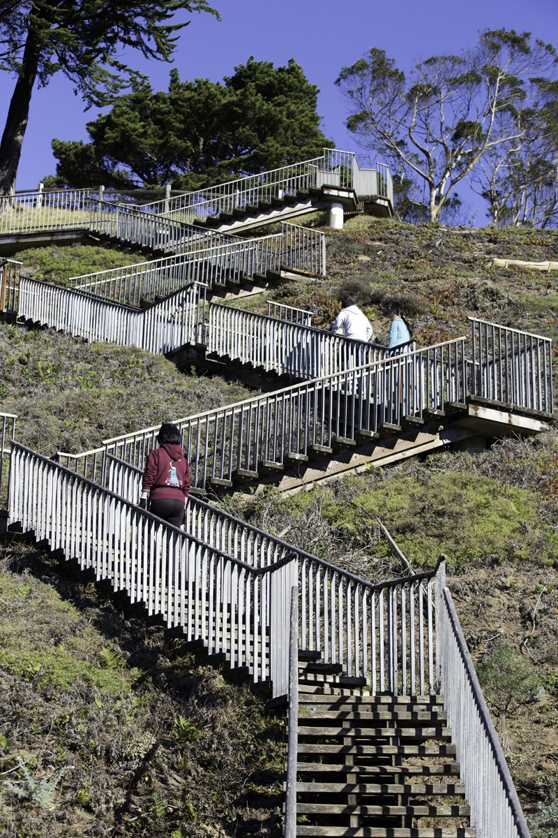 Scenes Of The City Grandview Park 7x7 Bay Area