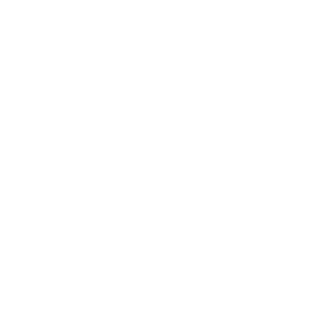 Smithsonian Folklife Festival