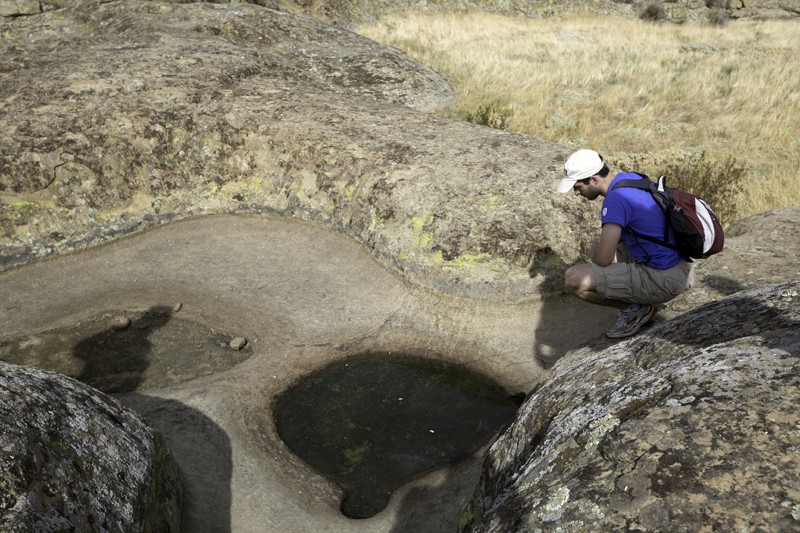 Explore Ancient Art and Endangered Species at Mt. Diablo's ...