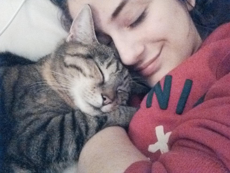 Cat Loves Her Human So Much She Hugs and Watches Over Her Every Step of