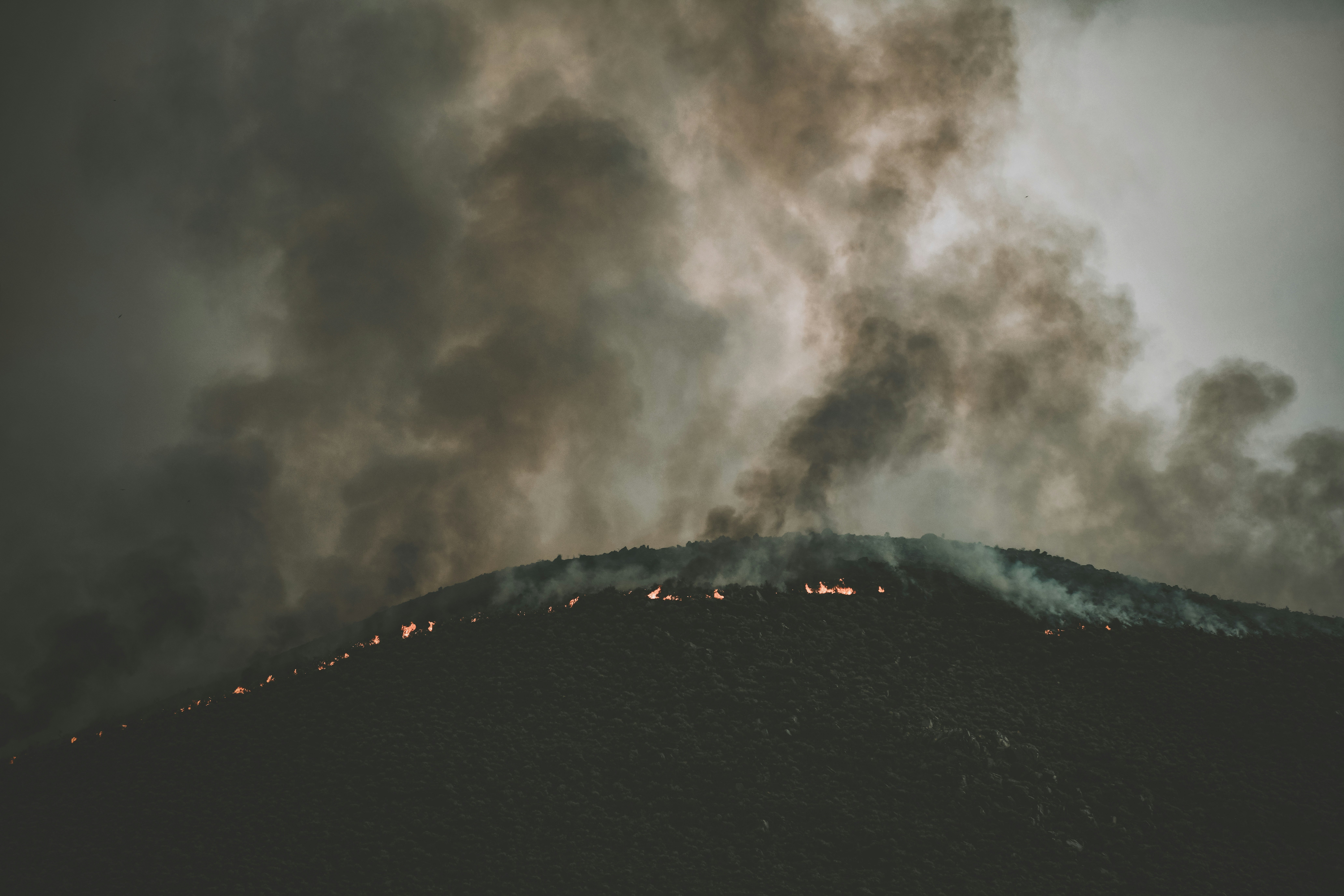 Wildfire smoke linked to an increased risk for dementia - EHN
