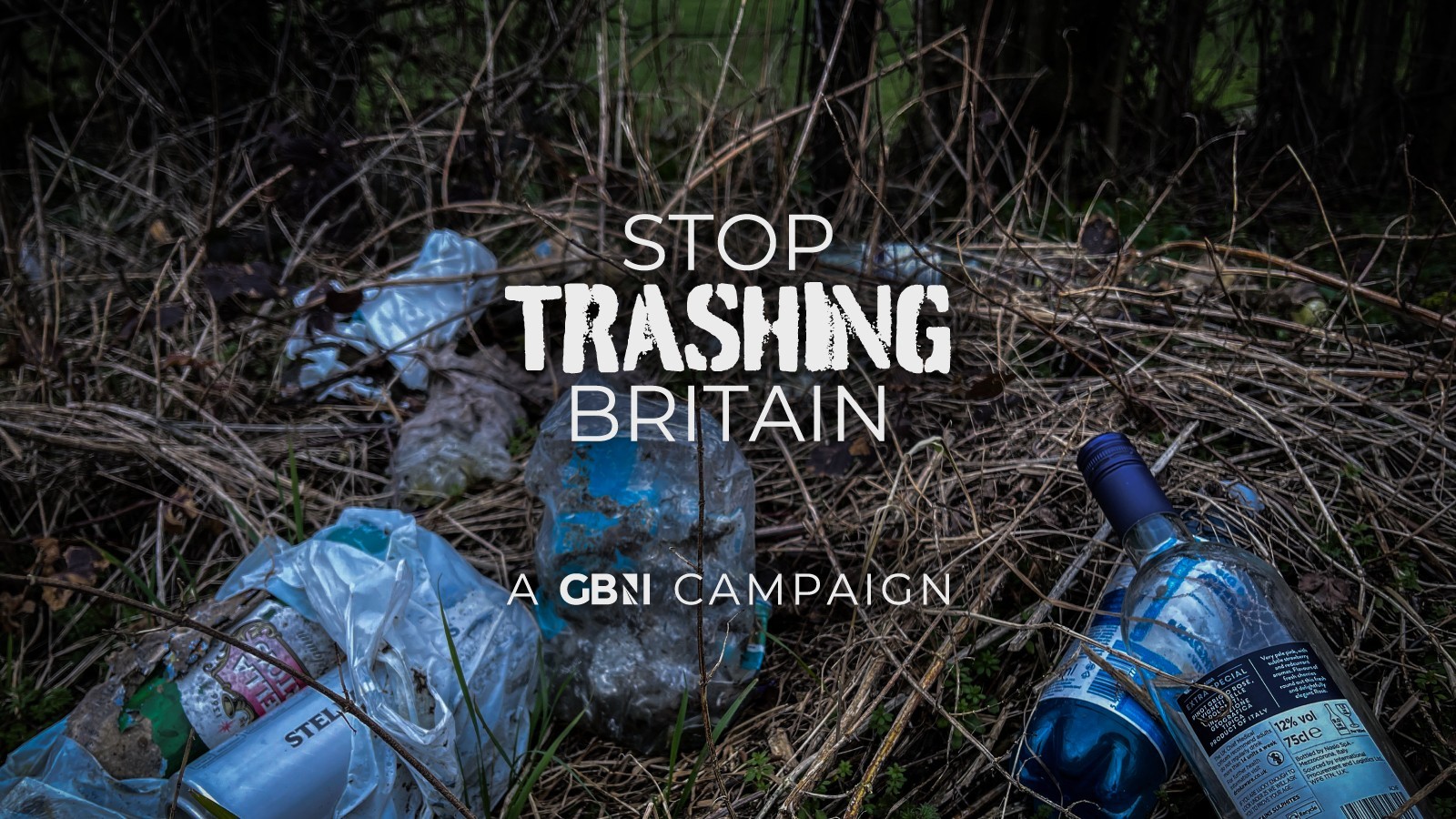 stop-trashing-britain