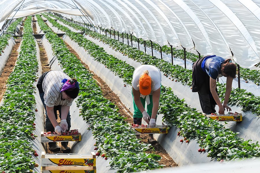 Reviewing food and farming policy in the Biden administration: a focus on food equity, climate policies and farmers