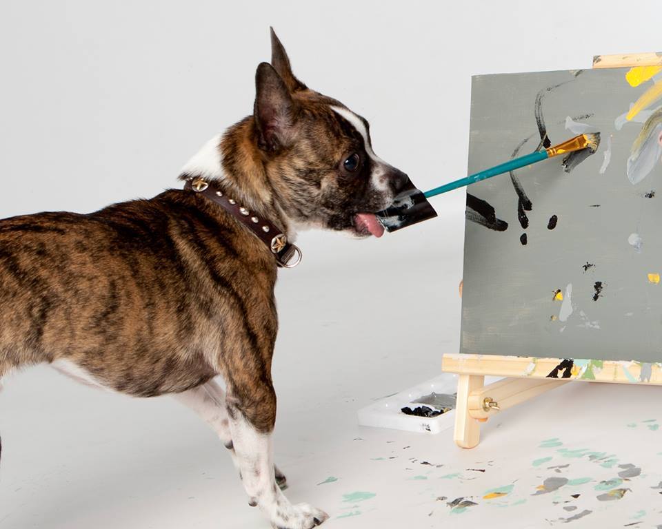 Talented Rescue Dog Creates Abstract Art With His Very Own Paintbrush