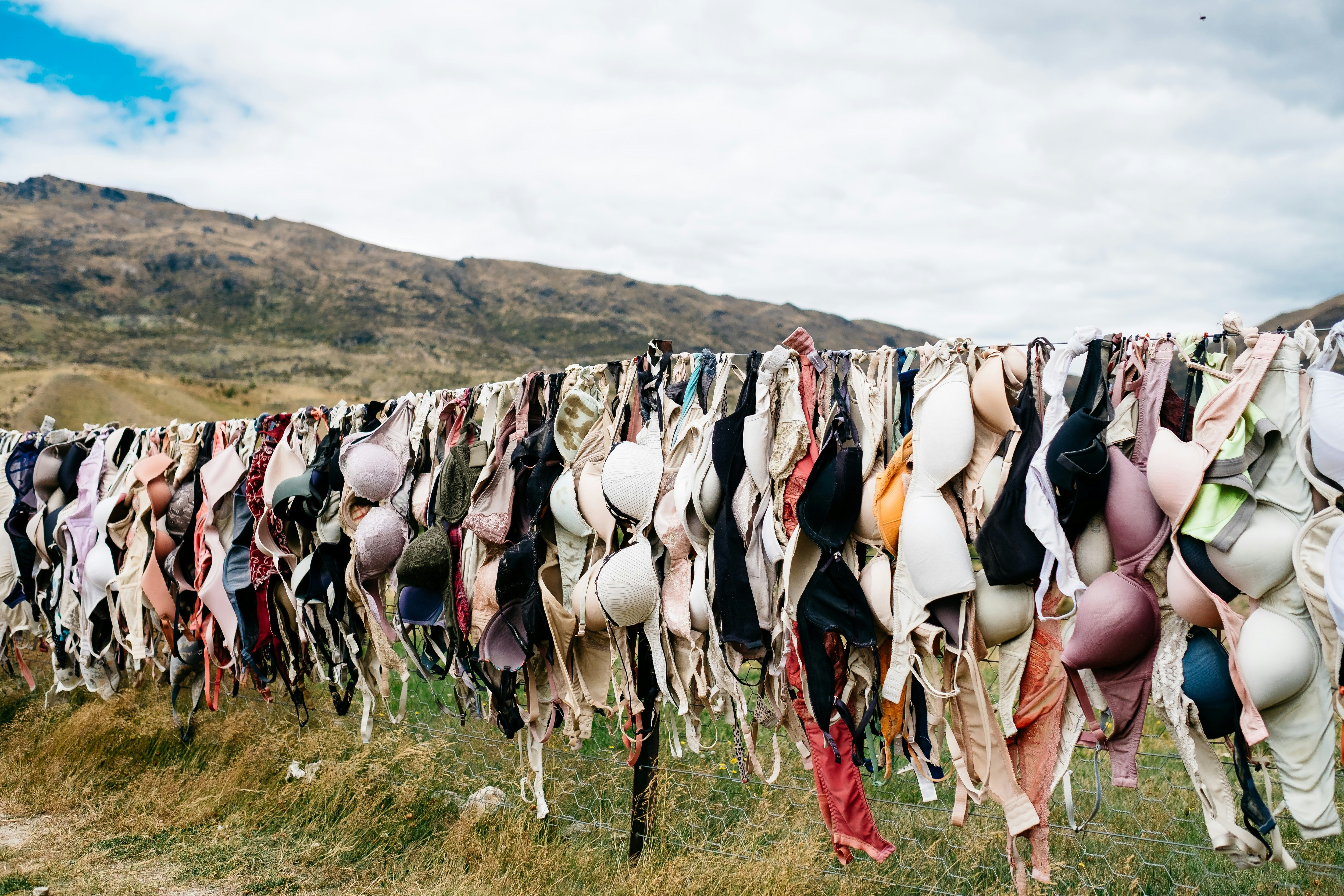 photo of Evidence of “forever chemicals” found in everyday bras image