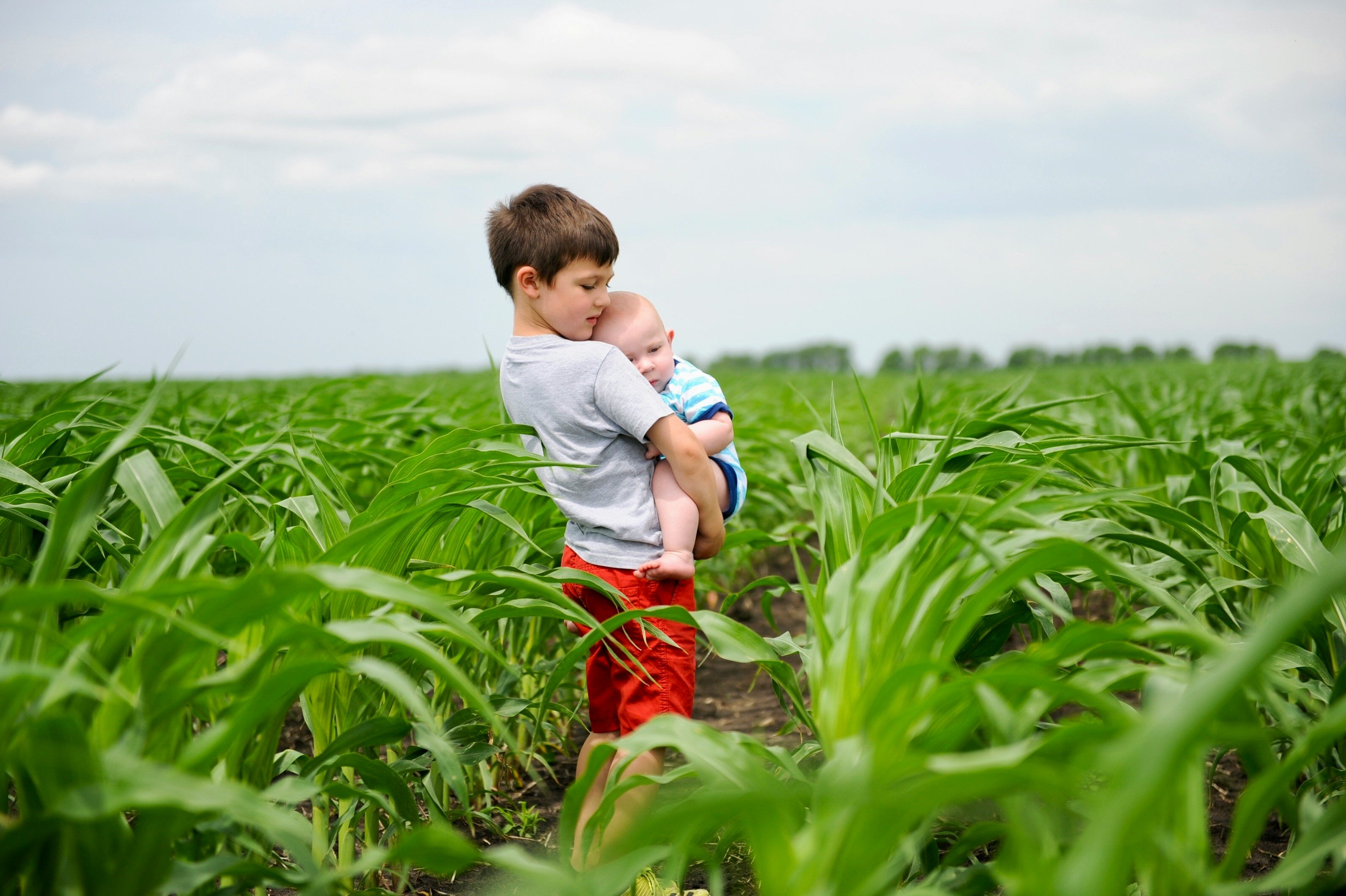 photo of Agricultural pesticide exposure linked to childhood cancers, study says image