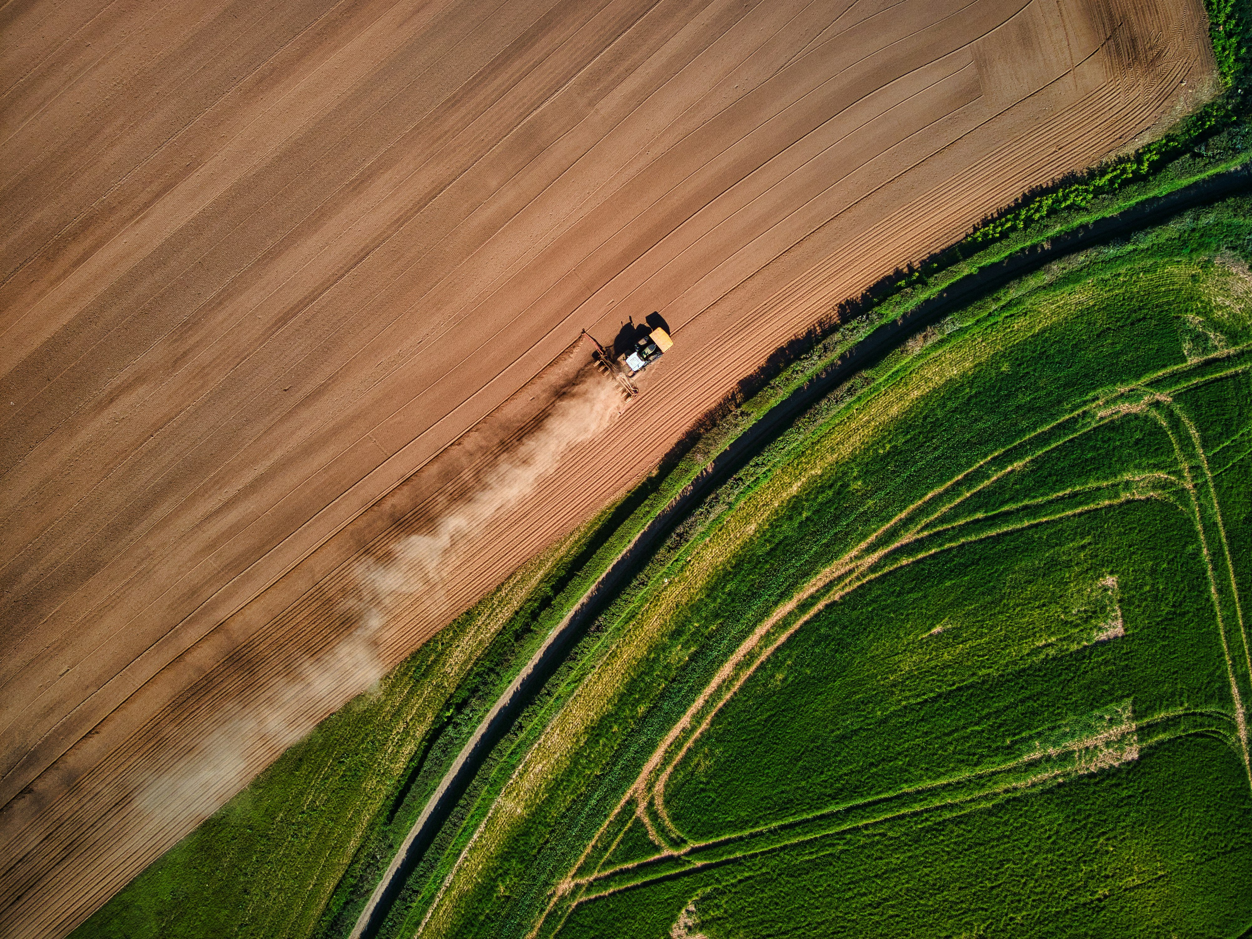 Microplastics may worsen global hunger by harming crop growth